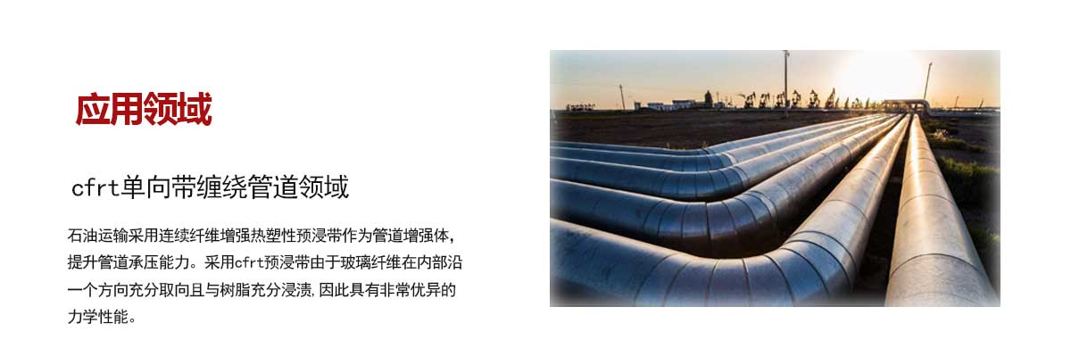 石油管(guǎn)道領域(yù)